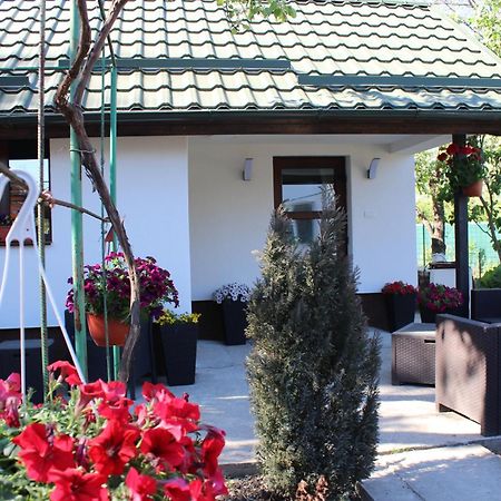 Casuta Artistilor Villa Breaza  Bagian luar foto