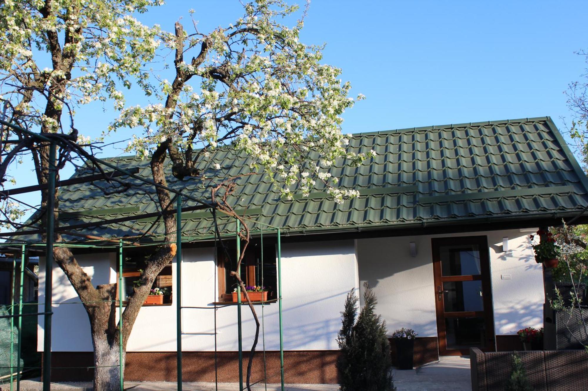 Casuta Artistilor Villa Breaza  Bagian luar foto