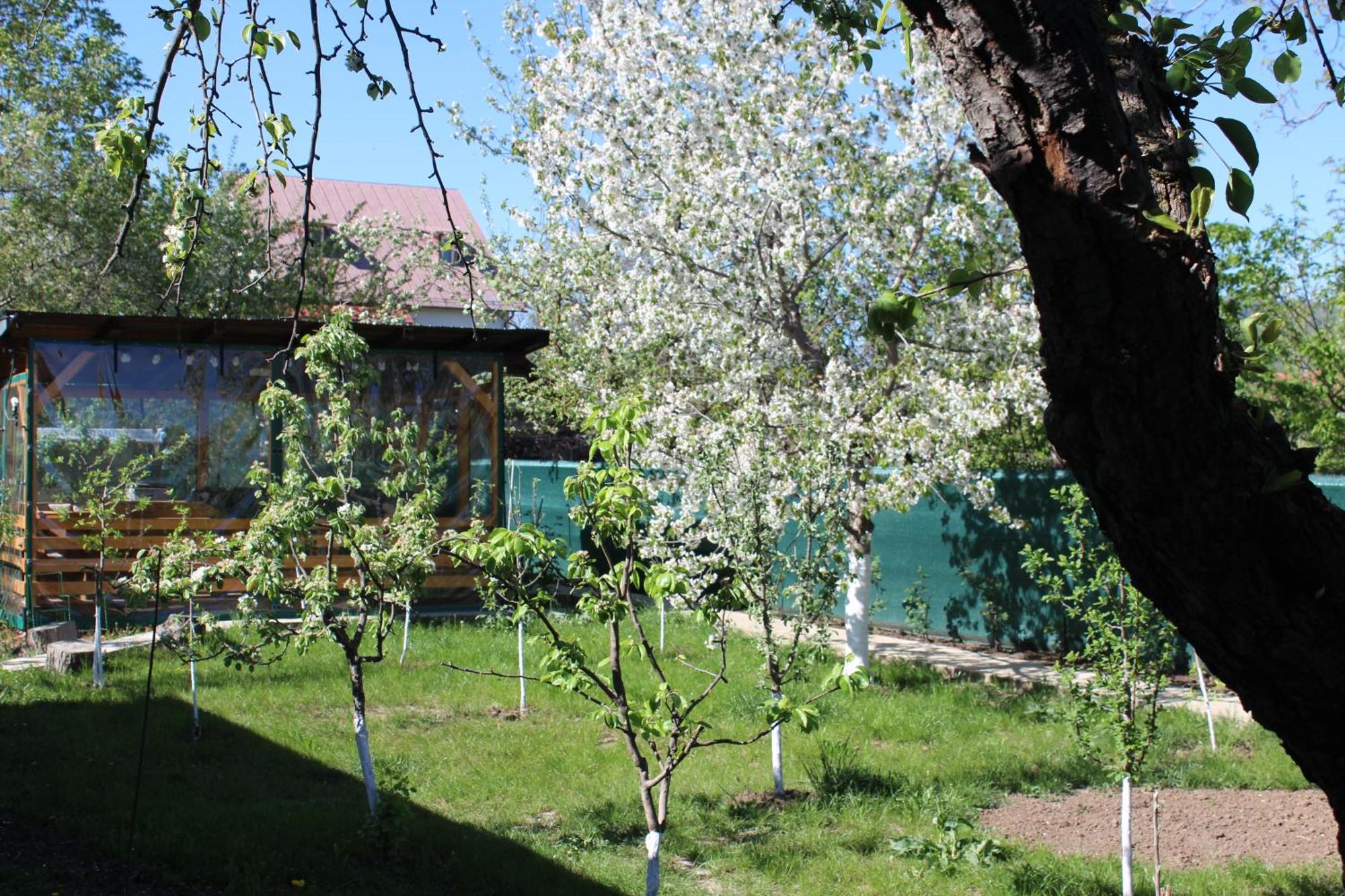 Casuta Artistilor Villa Breaza  Bagian luar foto
