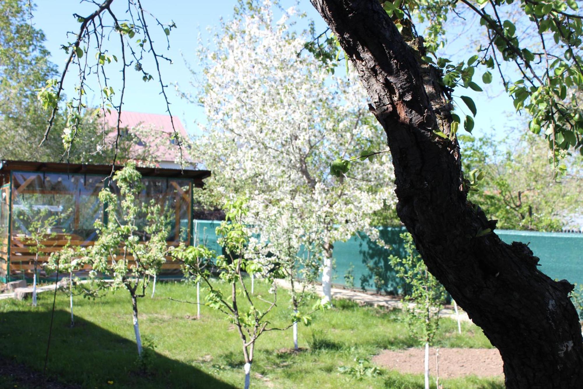 Casuta Artistilor Villa Breaza  Bagian luar foto